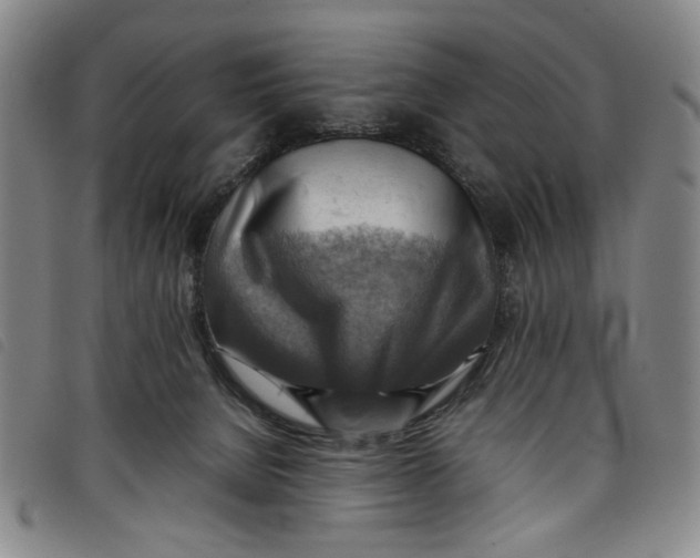 X0000097880080200804041623