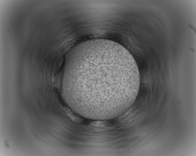 X0000097880082200804041623