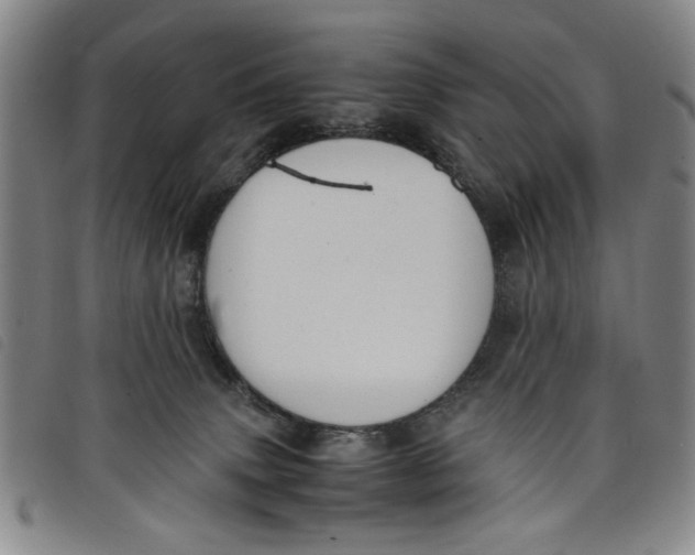 X0000097880083200804041623