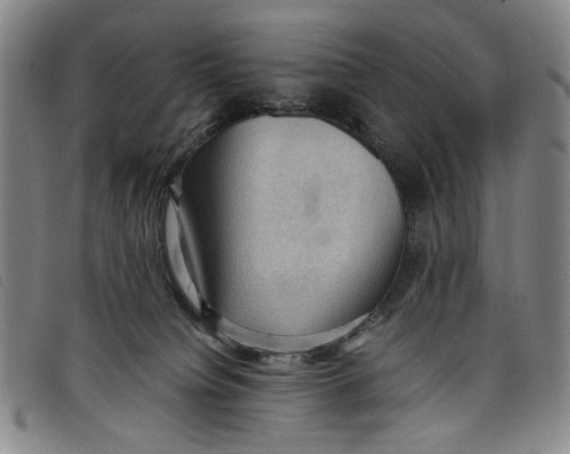 X0000097880084200804041623