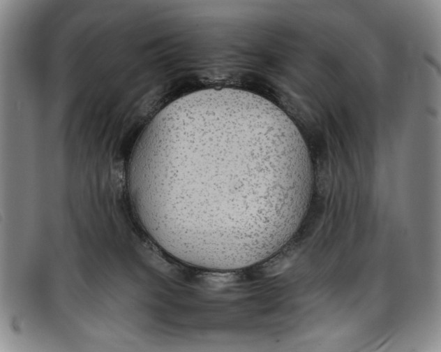 X0000097880085200804041623