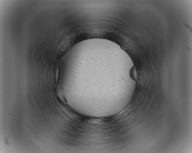 X0000097880086200804041623