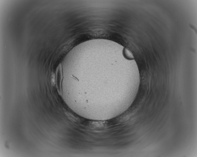 X0000097880089200804041623