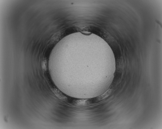 X0000097880090200804041623