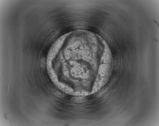 X0000097880093200804041623