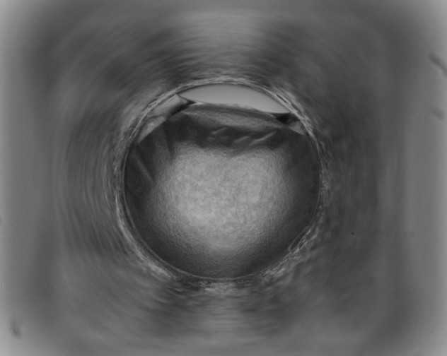 X0000097880097200804041623