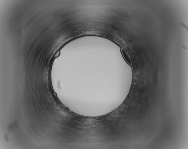 X0000097880098200804041623