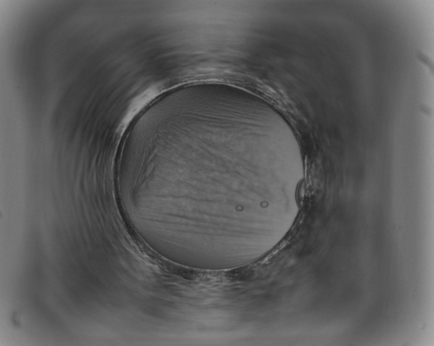 X0000097880099200804041623