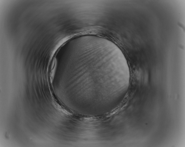 X0000097880100200804041623