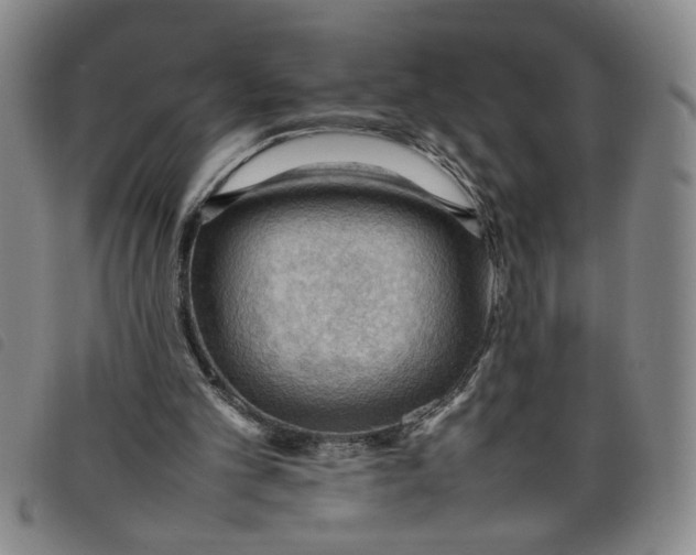 X0000097880101200804041623