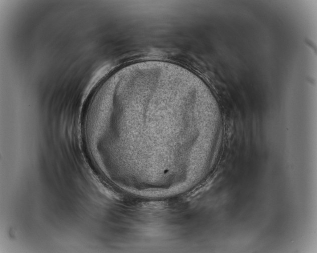 X0000097880102200804041623