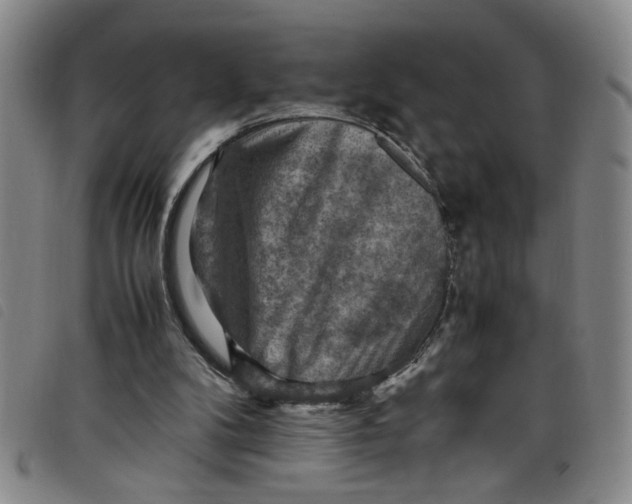 X0000097880104200804041623