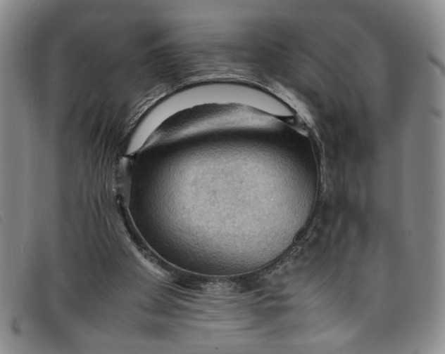 X0000097880105200804041623