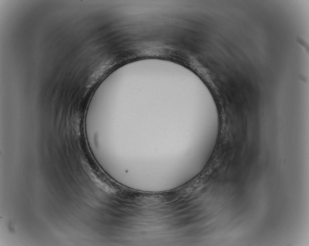 X0000097880106200804041623