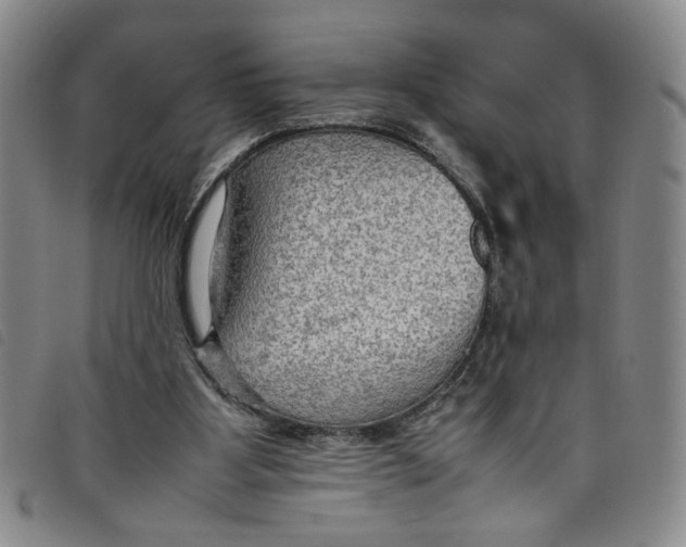 X0000097880107200804041623