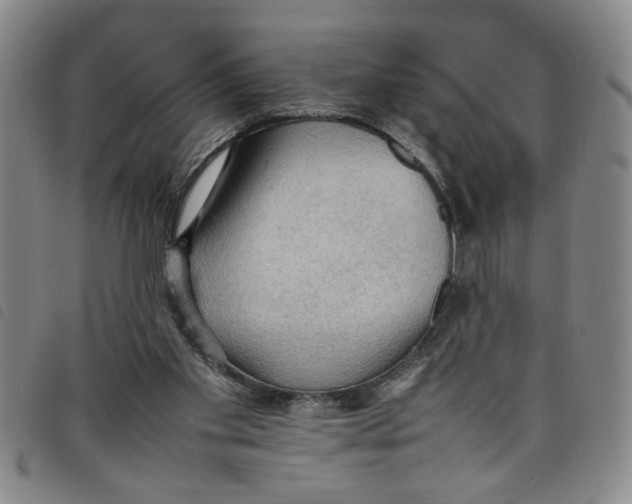 X0000097880109200804041623