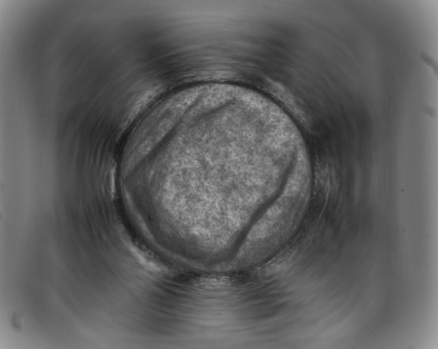 X0000097880110200804041623