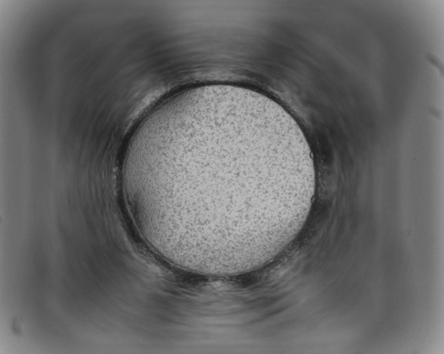 X0000097880111200804041623