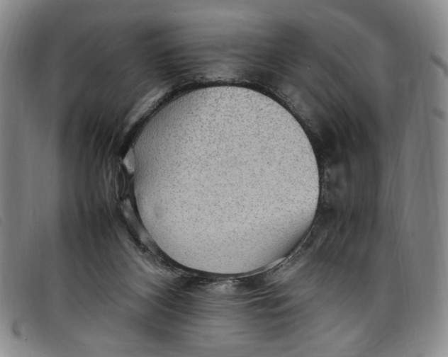 X0000097880116200804041622