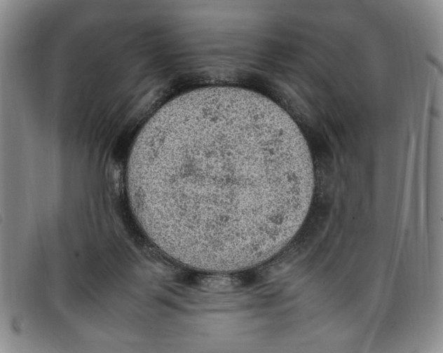 X0000097880123200804041622