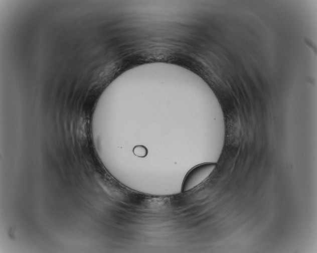 X0000097880126200804041622