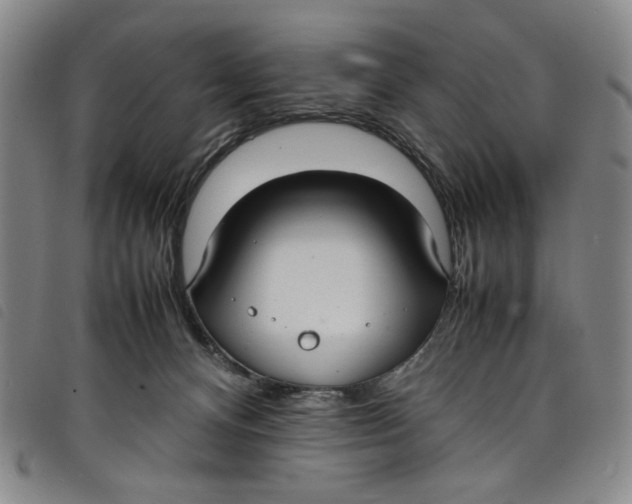 X0000097880128200804041622