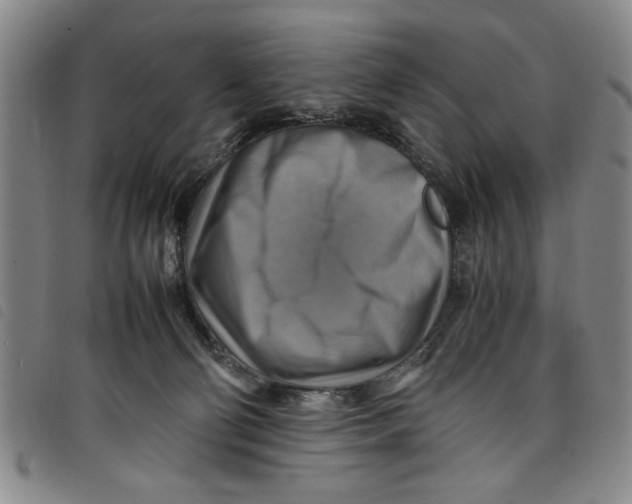 X0000097880130200804041622