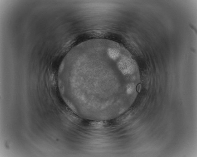 X0000097880131200804041622