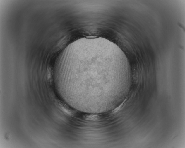 X0000097880132200804041622