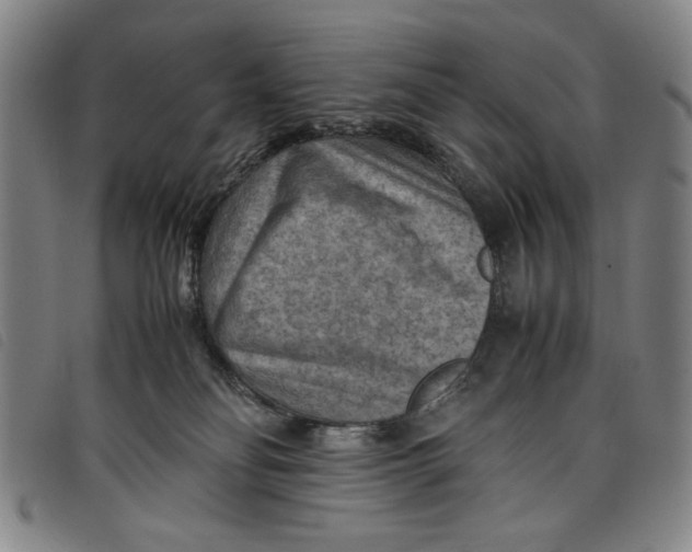 X0000097880134200804041622