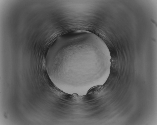 X0000097880143200804041622