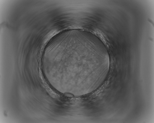 X0000097880145200804041621