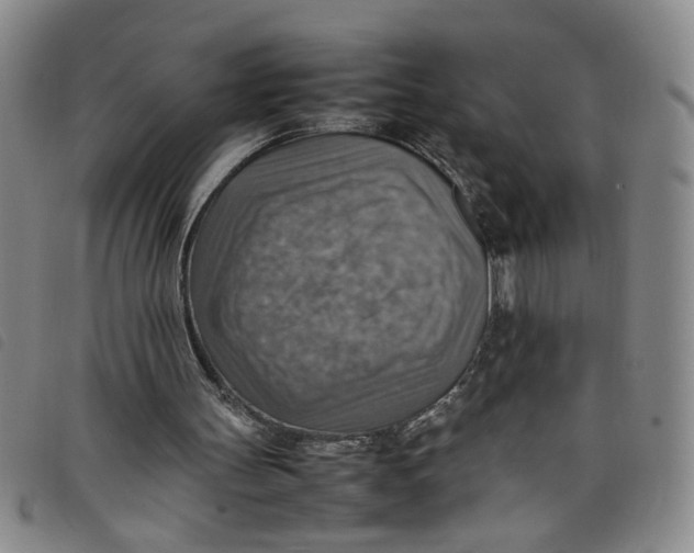 X0000097880147200804041621