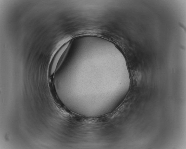 X0000097880148200804041621