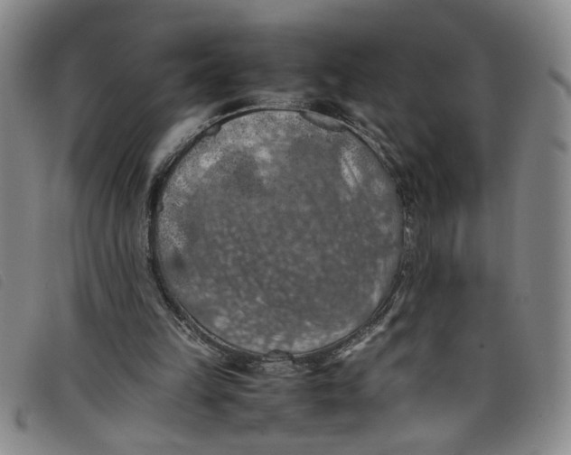 X0000097880149200804041621