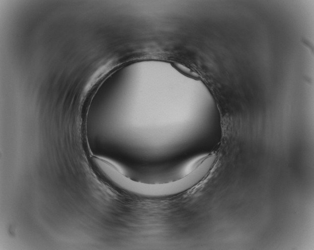 X0000097880150200804041622