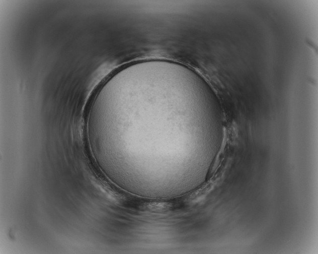 X0000097880152200804041622