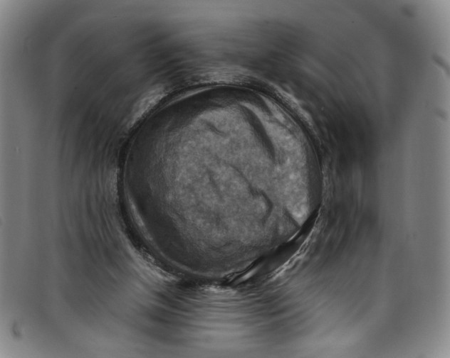 X0000097880154200804041622