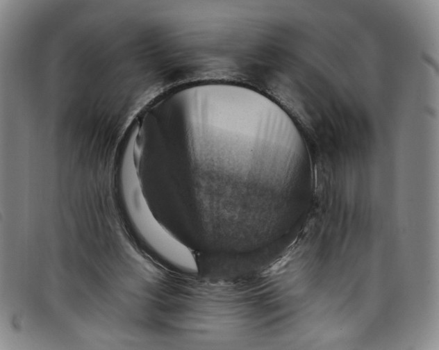 X0000097880156200804041622