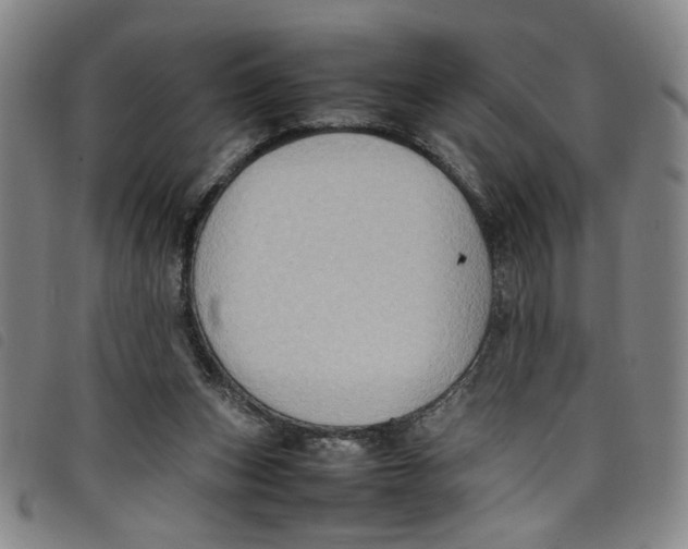 X0000097880159200804041622