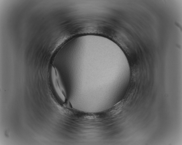 X0000097880160200804041622