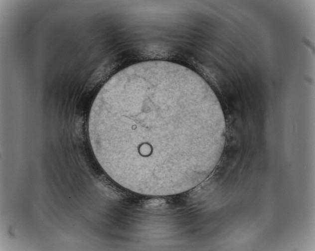 X0000097880162200804041622