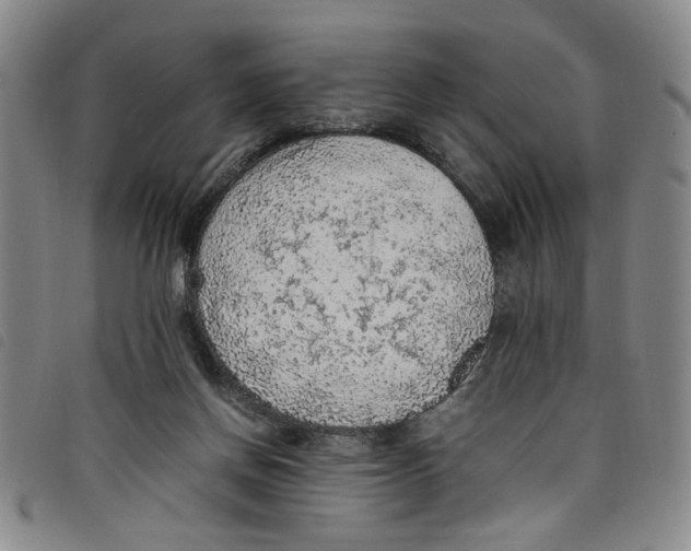 X0000097880166200804041622