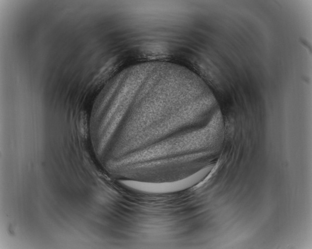 X0000097880170200804041622