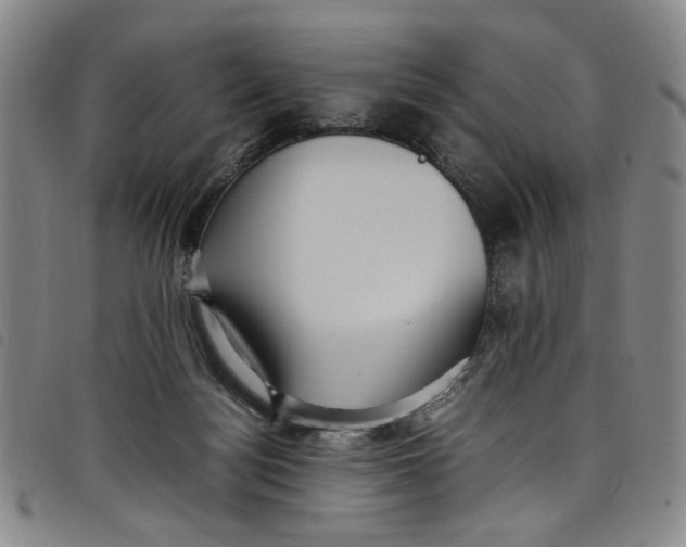 X0000097880172200804041622