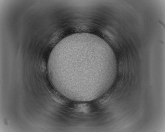 X0000097880173200804041622