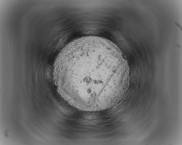 X0000097880175200804041622