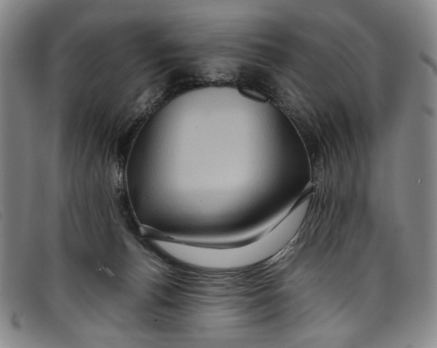 X0000097880176200804041622