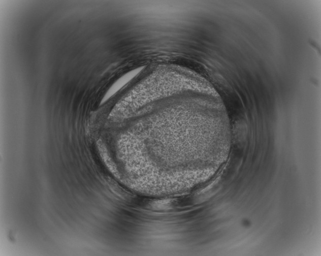 X0000097880178200804041622