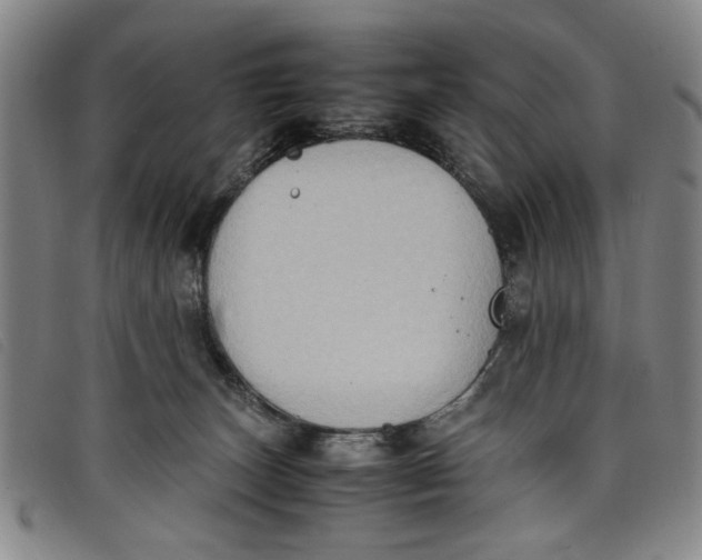 X0000097880179200804041622